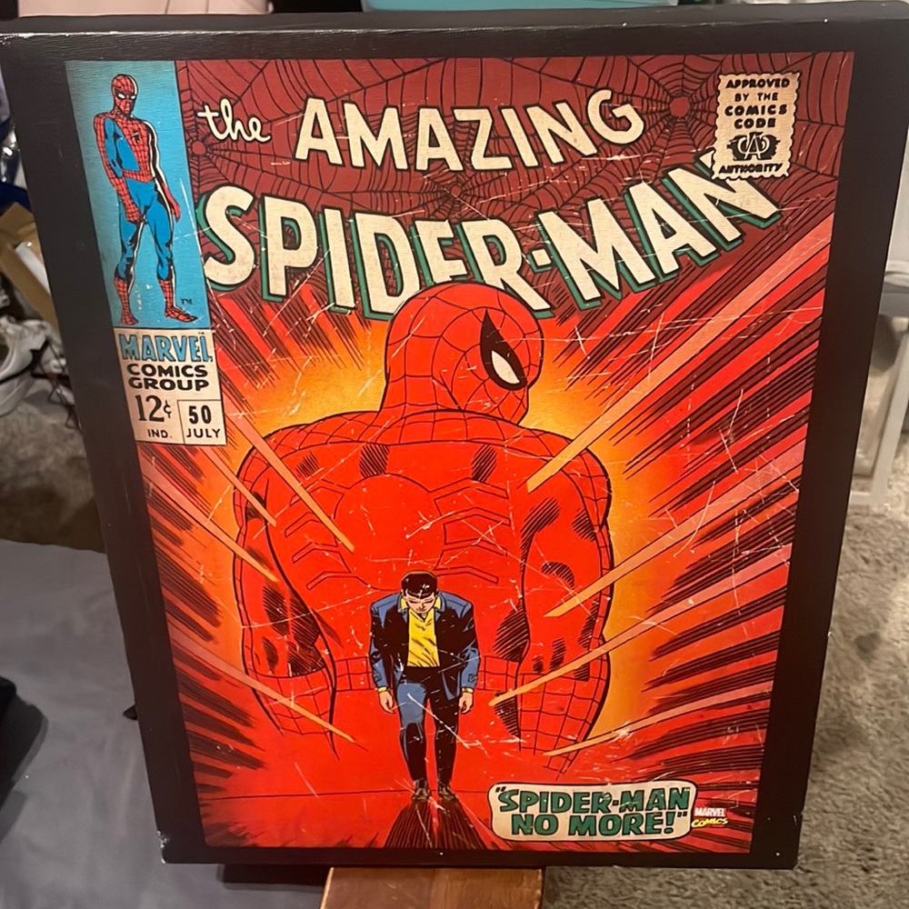 Spider-Man Wall Art